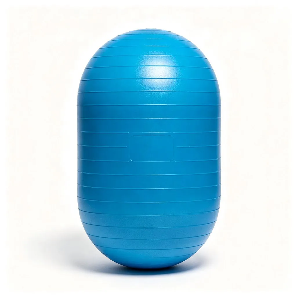 Capsule Ball - ZEALLSPORT Commercial Gym Equipment