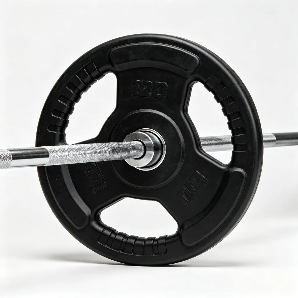 Rubber Plate - ZEALLSPORT Commercial Gym Equipment